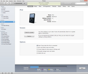 iTunes and the 1Tb iPod