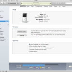 384Gb iPod iTunes Screen